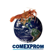 Main Logo